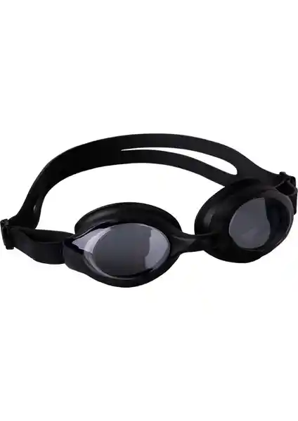 Delta Yetişkin Gözlük ve Huiding Up Yüzücü Gözlüğü Karşılaştırması