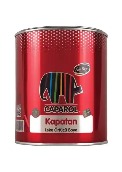Filli Boya Caparol Kapatan İç Cephe Boyası Yüksek Kapatıcılık ve Dayanıklılık Sağlar