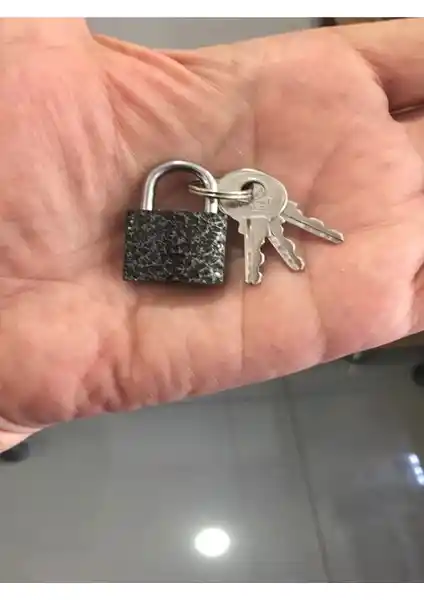 Kale 20 Mm Gri Asma Kilit Güvenlik ve Dayanıklılık Sunan Endüstriyel Kilit Çözümü