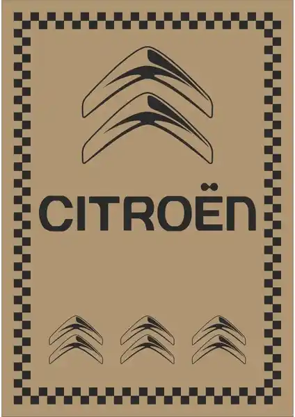 Murat Kağıt Oto Paspas: Citroen Araçlar İçin Dayanıklı ve Pratik Temizlik Çözümü (75-90 karakter)
