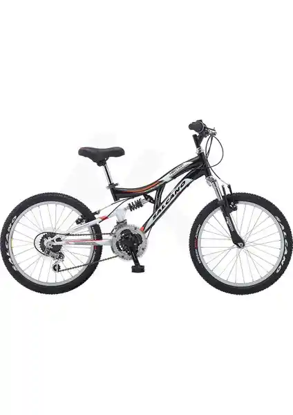 Salcano Hector 20 ve Ümit 1641 Stitch Çocuk Bisikletleri Karşılaştırması