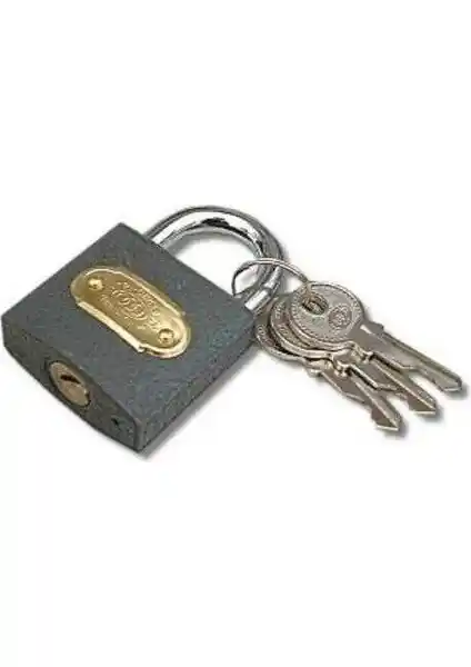 SFD Asma Kilit Gri 25 Mm Güçlü ve Dayanıklı Güvenlik Kilidi