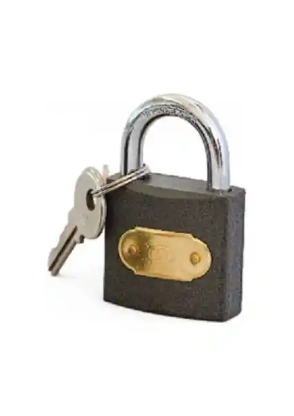 TRI-A 25 mm Gri Asma Kilit: Güçlü ve Estetik Güvenlik Çözümü