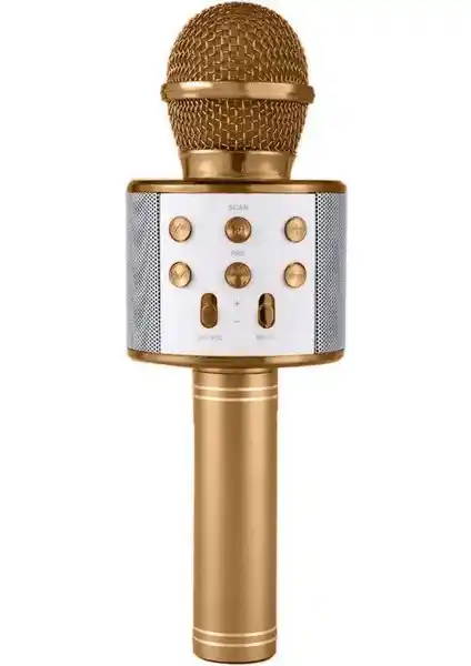 Blupple WS-858 ve OKMORE Karaoke Mikrofonlarının Karşılaştırması