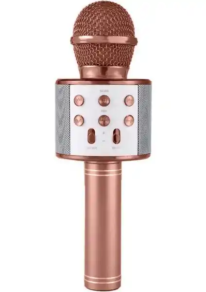 Blupple WS-858 ve Tatu Handheld Ktv Karaoke Mikrofonlarının Karşılaştırması ve Özellikleri