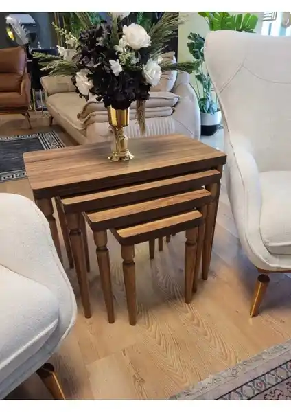 Akset ve Canisa Lyon Serisi Zigon Sehpa Karşılaştırması: Tasarım, Malzeme ve Kullanıcı Yorumları