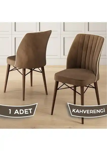 Canisa Nuna Serisi ve Yafes Kare Gold Mutfak Sandalyeleri Karşılaştırması