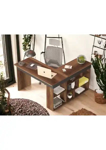 Robin Home Ofis Mobilyaları Karşılaştırması: Boston ve Martin Modellerinin Özellikleri