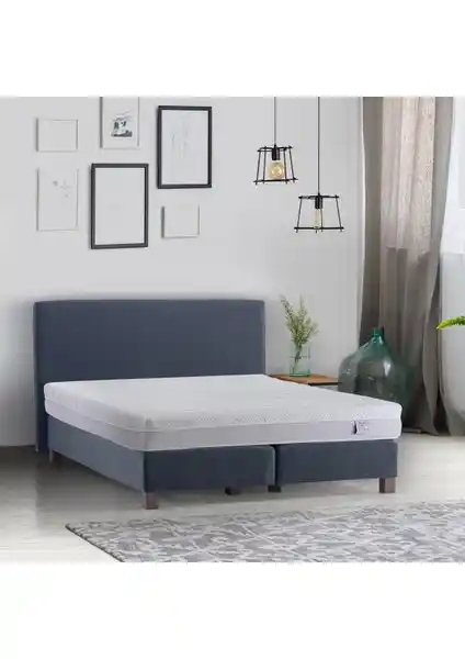 Viscoflex Morni ve Nora+ Yataklarının Detaylı Karşılaştırması ve Kullanıcı Yorumları