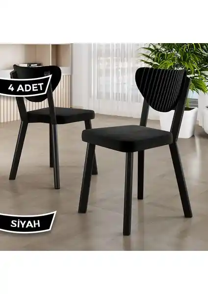 Canisa Arfe Serisi Modern ve Dayanıklı Mutfak Sandalyesi Seti 4 Adet