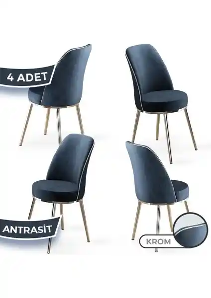 Canisa Pefa Serisi Modern ve Dayanıklı Mutfak Sandalyeleri Özellikleri ve Tasarımı