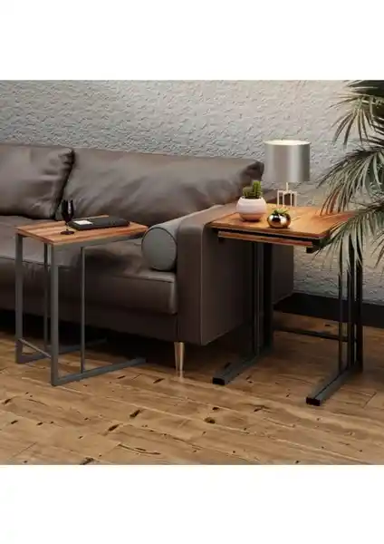 Ivo Zigon Sehpa Modern Tasarım ve Fonksiyonellik Sunan Çoklu Sehpa Seti