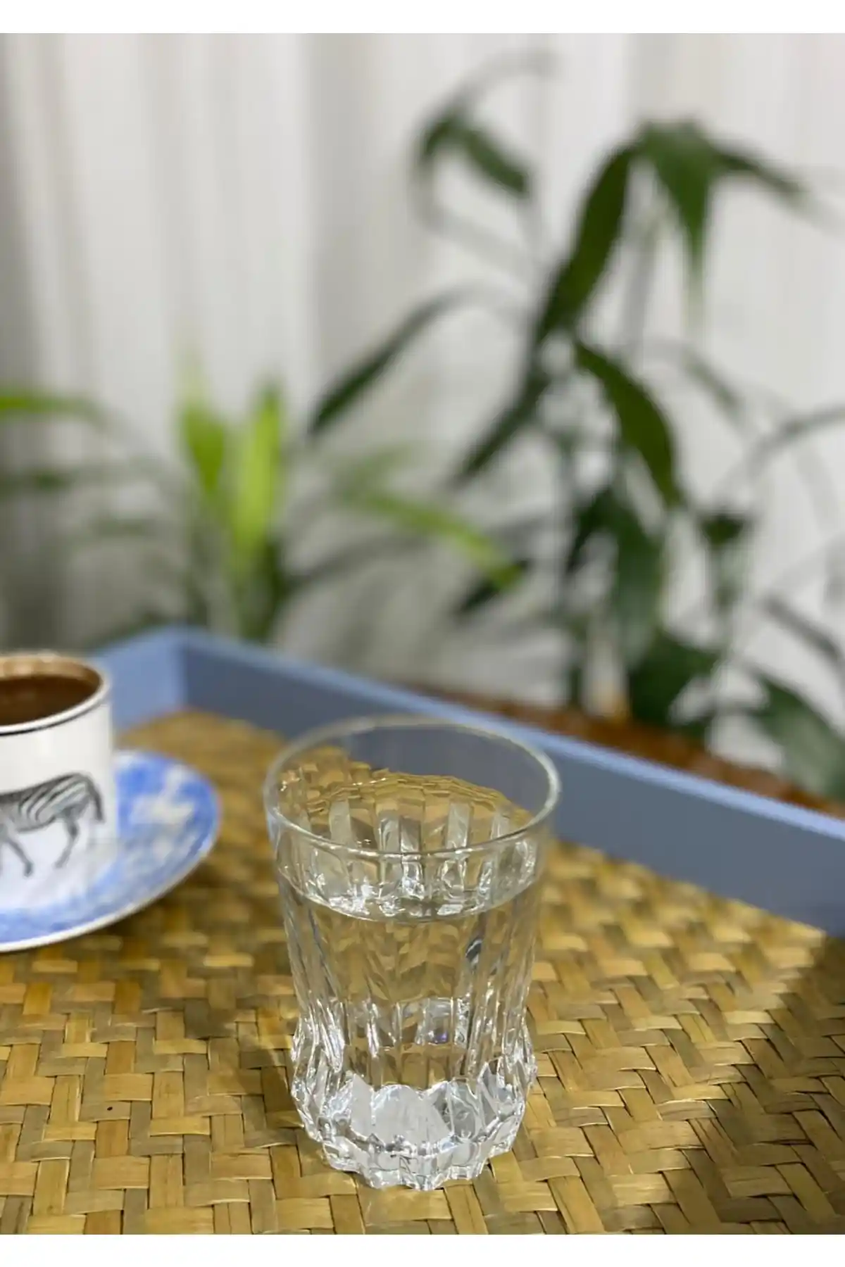 Paşabahçe Gaia 6'lı Kahve Yanı Su Bardağı Seti Şık ve Dayanıklı Cam Tasarımıyla