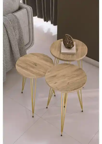 Pratico Nisa Atlantik Çam Gold Metal Ayak Zigon Sehpa Seti Modern ve Şık Tasarım