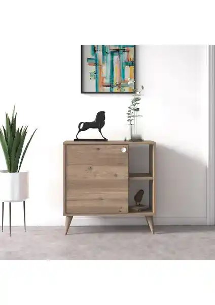 Ruum Store Vega Tek Kapaklı Raflı Çok Amaçlı Dolap: Modern ve Dayanıklı Ev Depolama Çözümü