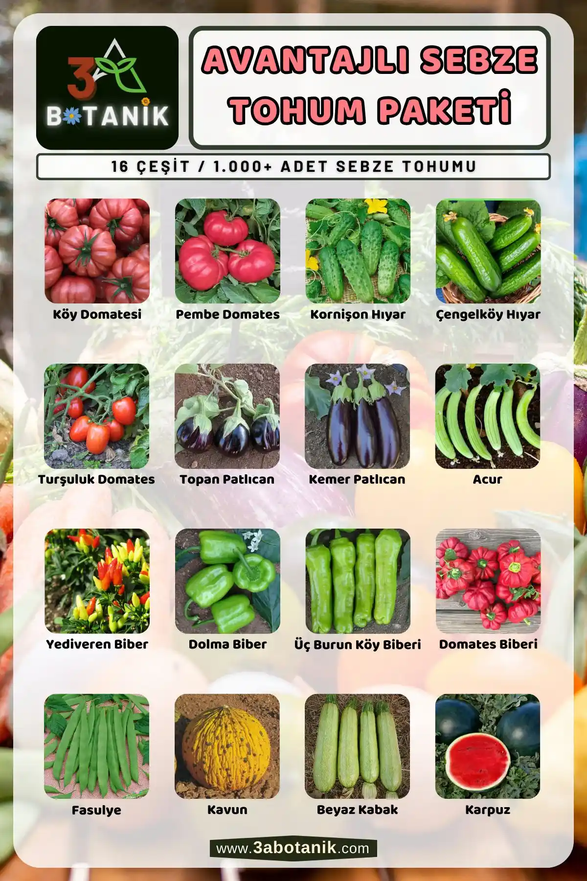 3A BOTANİK Sebze Tohum Paketi: Doğal ve Güvenilir Bahçe Yetiştiriciliği İçin Ideal Çözüm