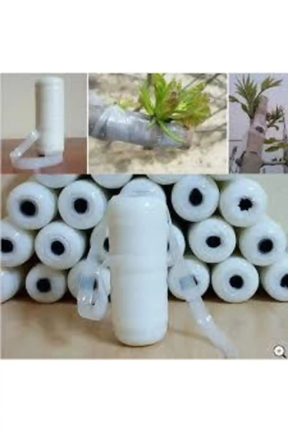 AAi Aşı Bandı: Güvenilir ve Kolay Aşı Uygulama Çözümü Tarım ve Bahçecilik İçin