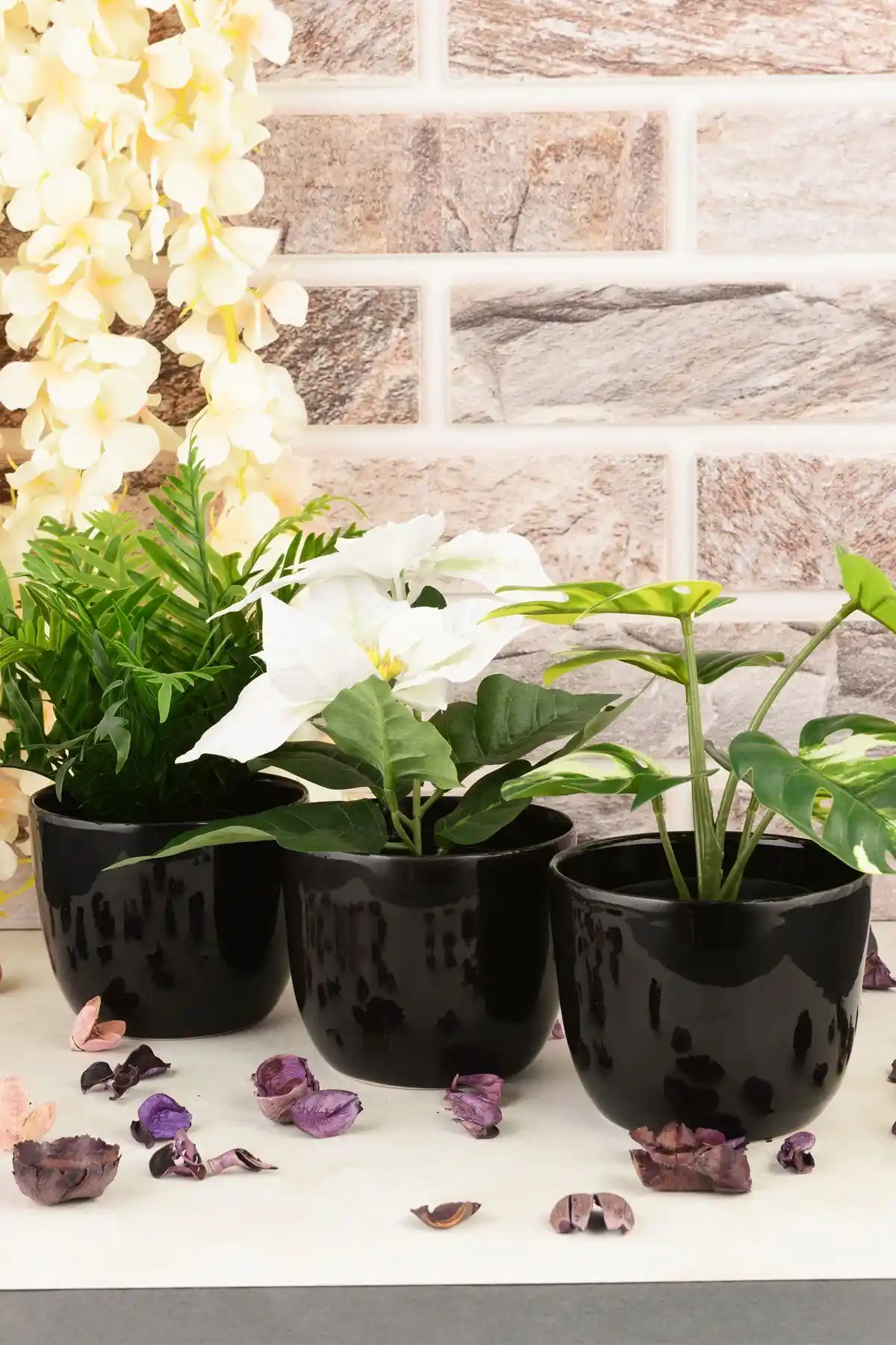 Angdesign Karmen Seramik Saksı: Modern ve Şık Dekoratif Bitki Saksısı Çeşidi