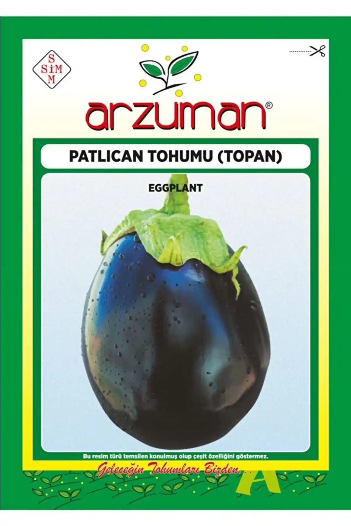 Arzuman Topan Patlıcan Tohumu 10 Gram: Yüksek Verimli ve Dayanıklı Tarım Çözümü