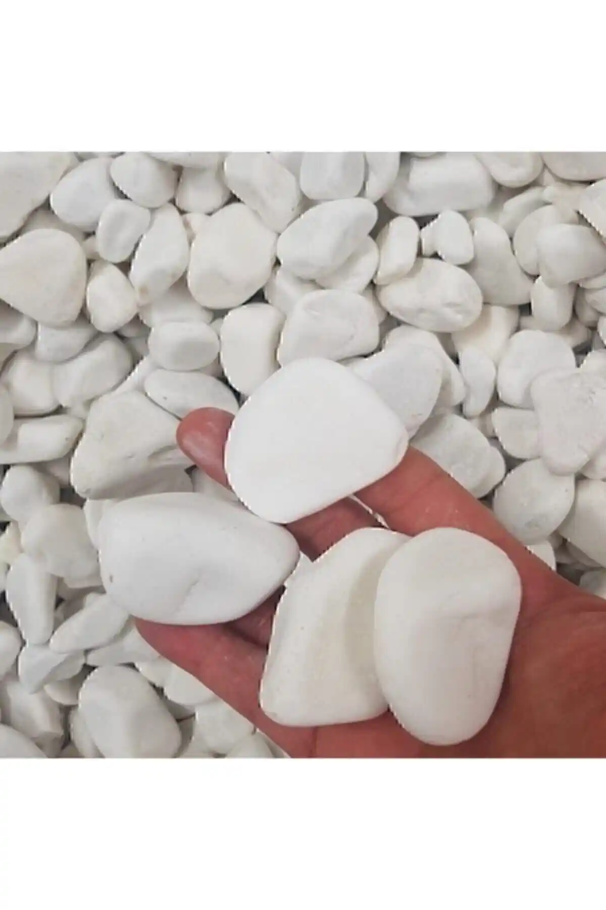 Beyaz Dolomit Taş 5 Kg ile Bahçe ve Dekorasyon Uygulamaları İçin Doğal Çözüm