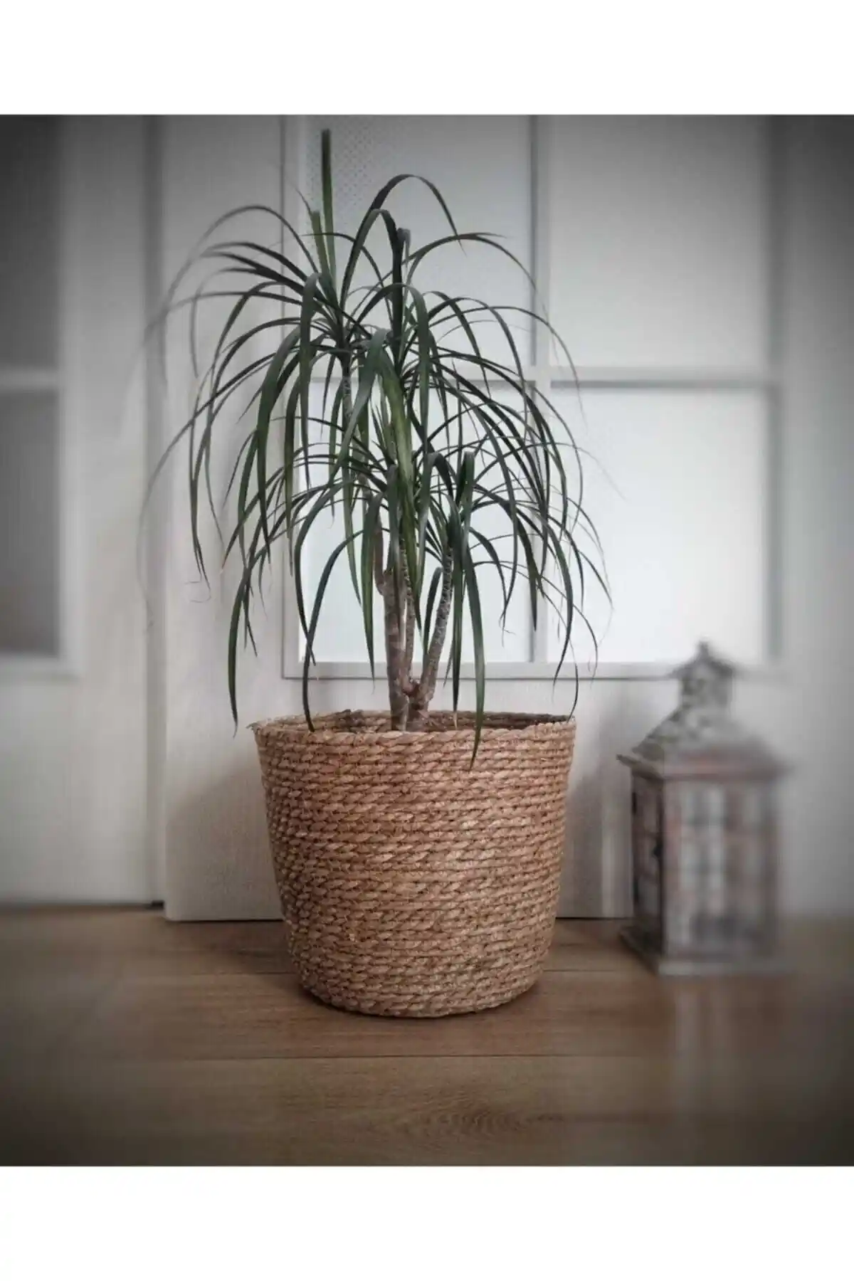 Cherry Collection Dekoratif Hasır Sepet: Modern ve Dayanıklı Ev Dekorasyonu İçin Şık Çözüm