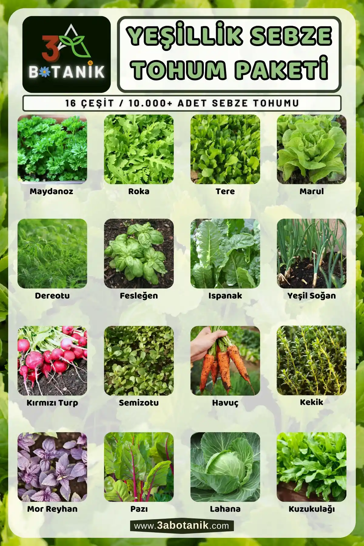 Doğal ve Sürdürülebilir Bahçe Deneyimi İçin 3A BOTANİK Yeşillik Sebze Tohum Paketi