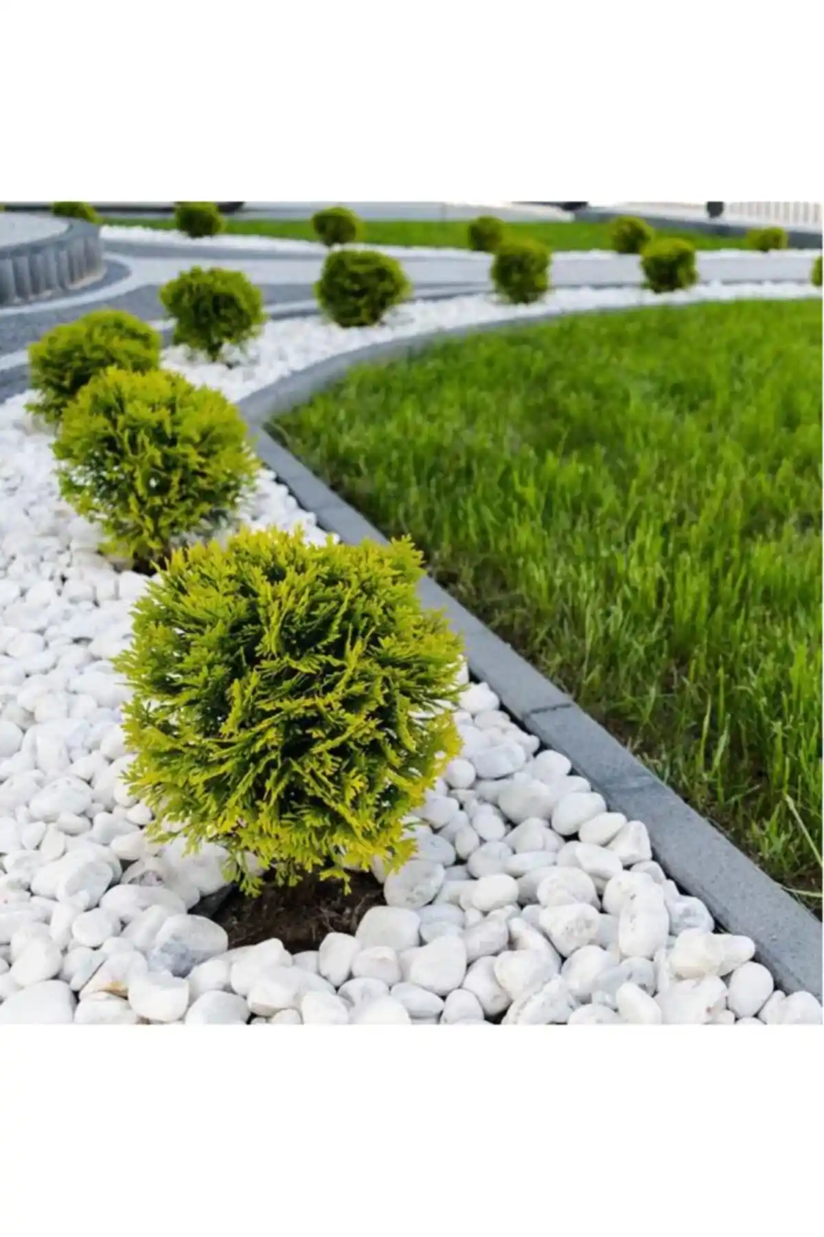 Ekodoğa Dolomit Taş 10 Kg Beyaz Doğal Peyzaj ve Dekorasyon Malzemesi