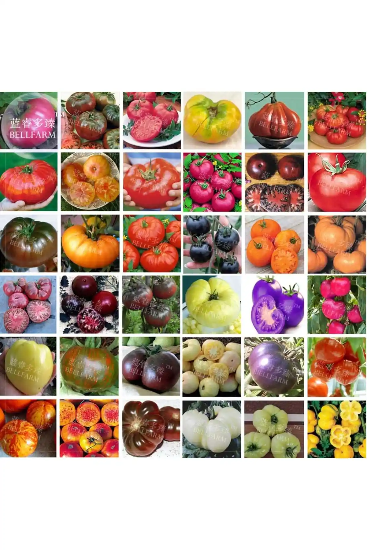 Farmer Life Ata Tohumu: Çeşitli Domates Çeşitleri ile Verimli Tarım Deneyimi