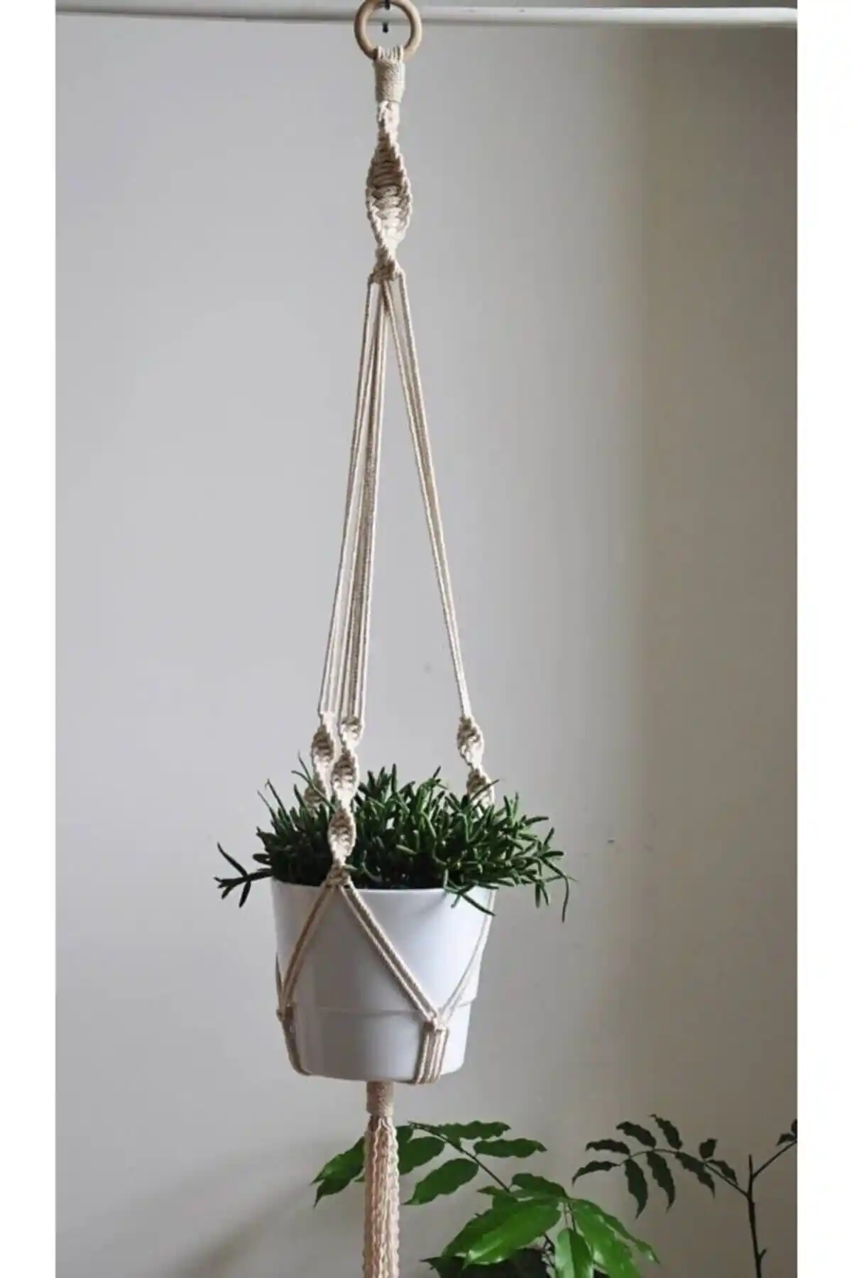 Galia Tasarım El Yapımı Modern Makrome Saksılık ile İç Mekan Dekorasyonunuzu Zenginleştirin