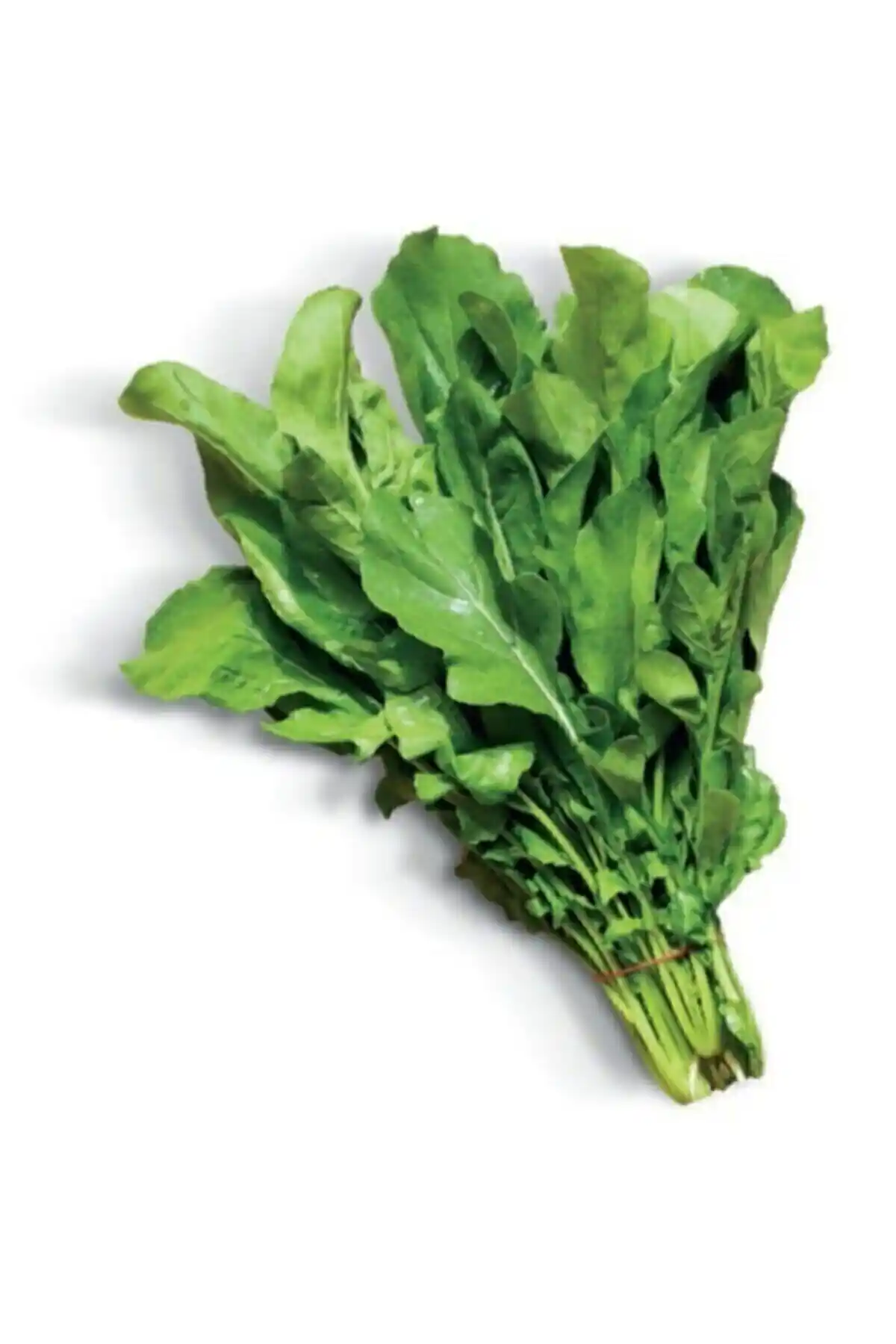 Geleneksel Roka Tohumu ile Doğal ve Sağlıklı Yiyecekler Yetiştirme Rehberi