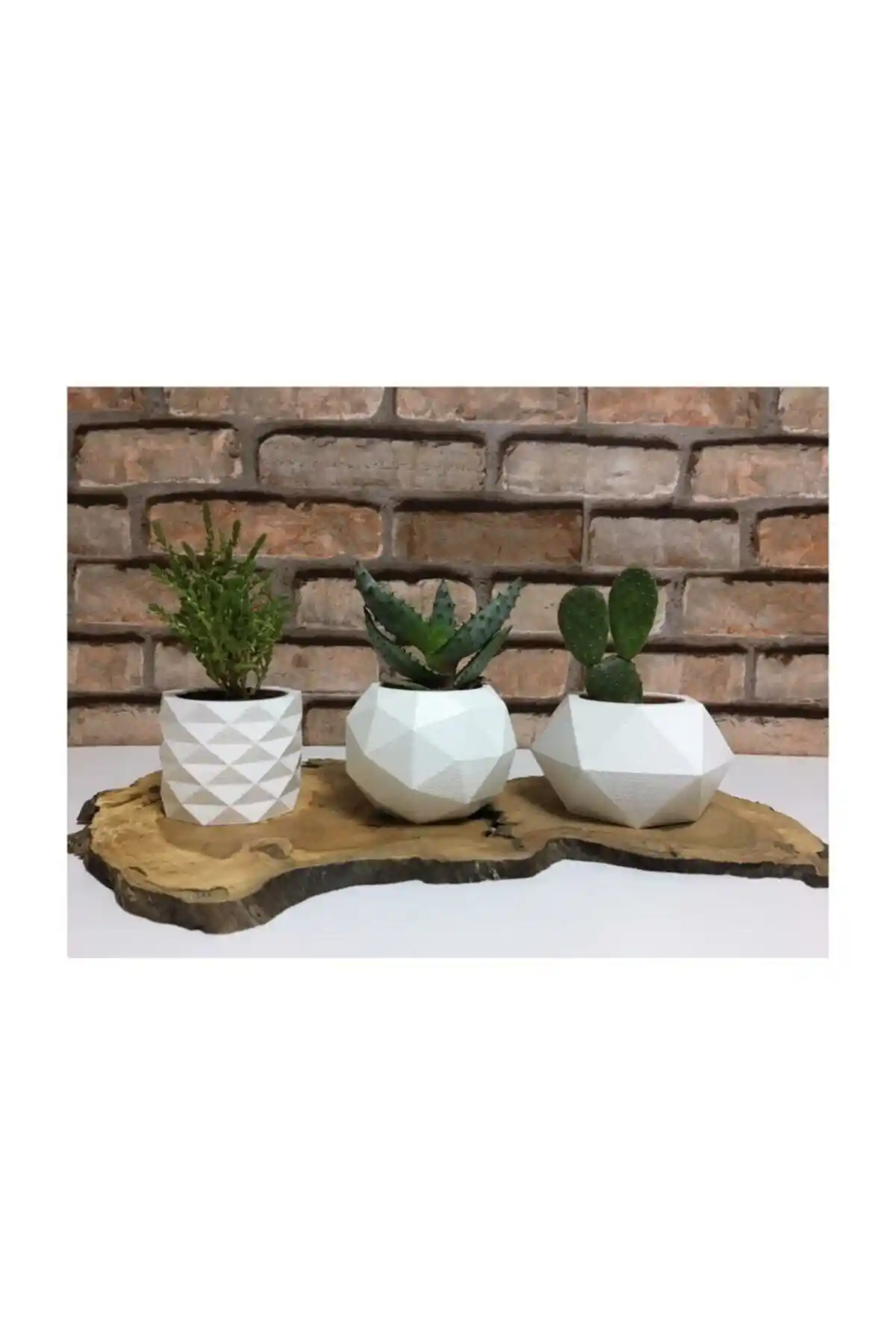Genel Markalar 3'lü Beyaz Vernikli Beton Sukulent ve Kaktüs Saksısı Dekoratif Seti