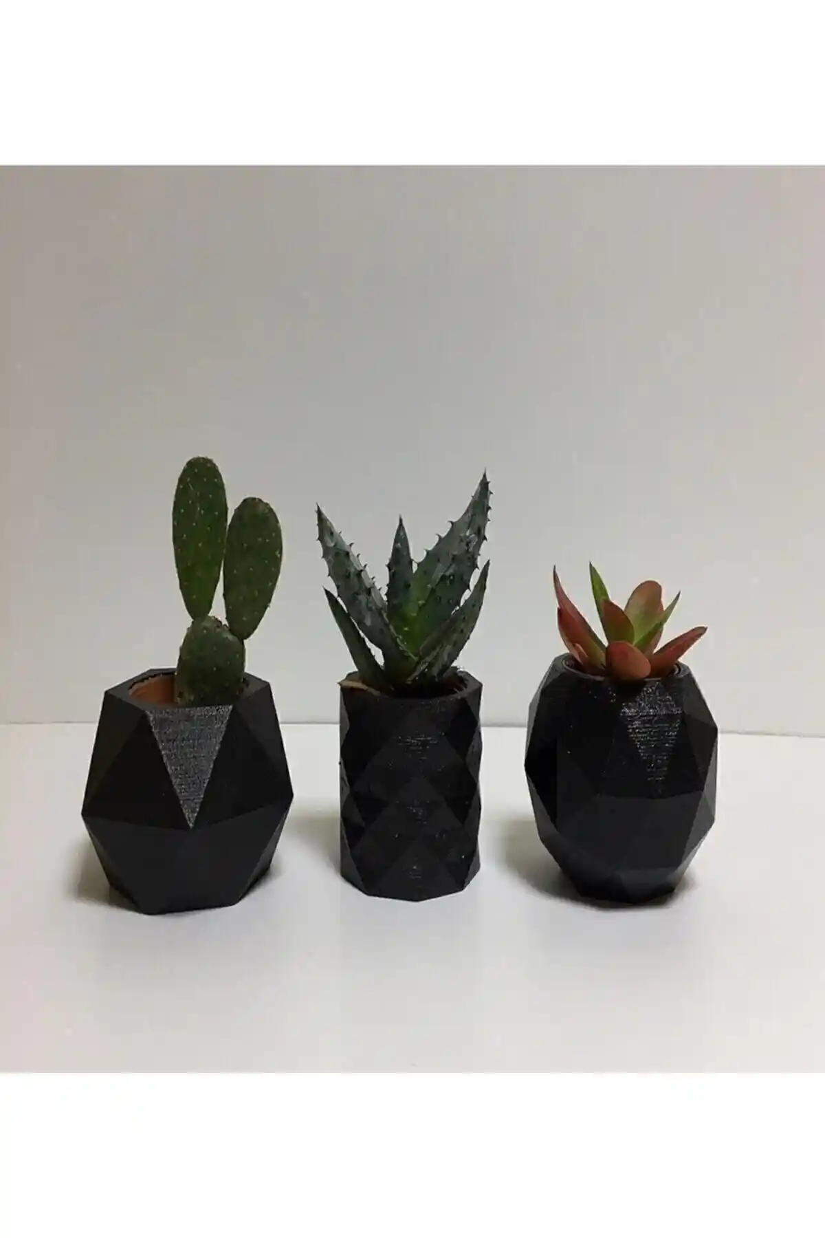 Genel Markalar 3'lü Siyah Beton Sukulent ve Kaktüs Saksı Seti Modern Dekorasyon İçin