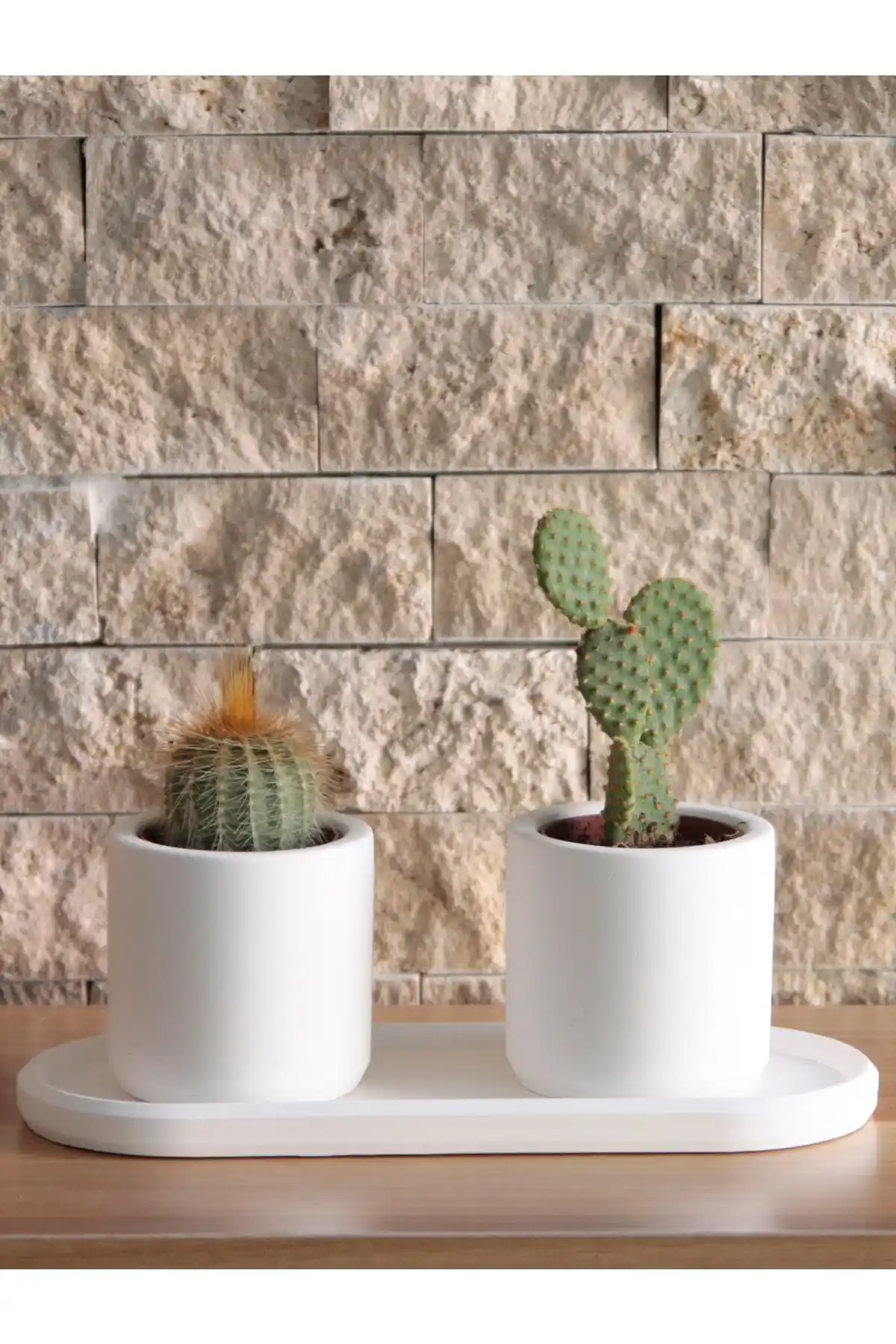 Genel Markalar Mini Silindir Sukulent Saksı Oval Tabaklı Set: Modern ve Doğal Dekoratif Tasarım