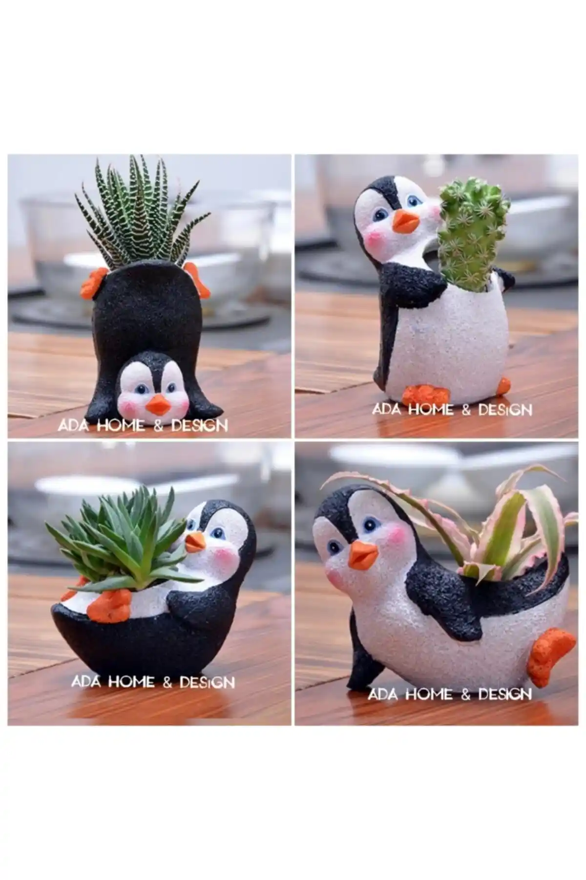 Genel Markalar Sukulent 4'lü Penguen Saksı Seti Modern ve Dayanıklı Tasarım