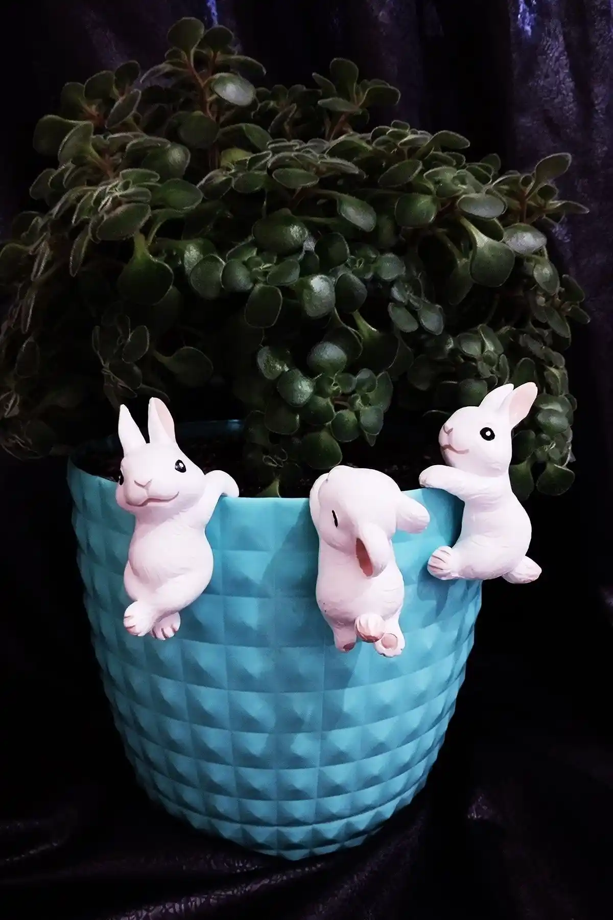 HerteldenHobies Boyalı Üçlü Tavşan Teraryum Obje Saksısı Dekoratif Seti