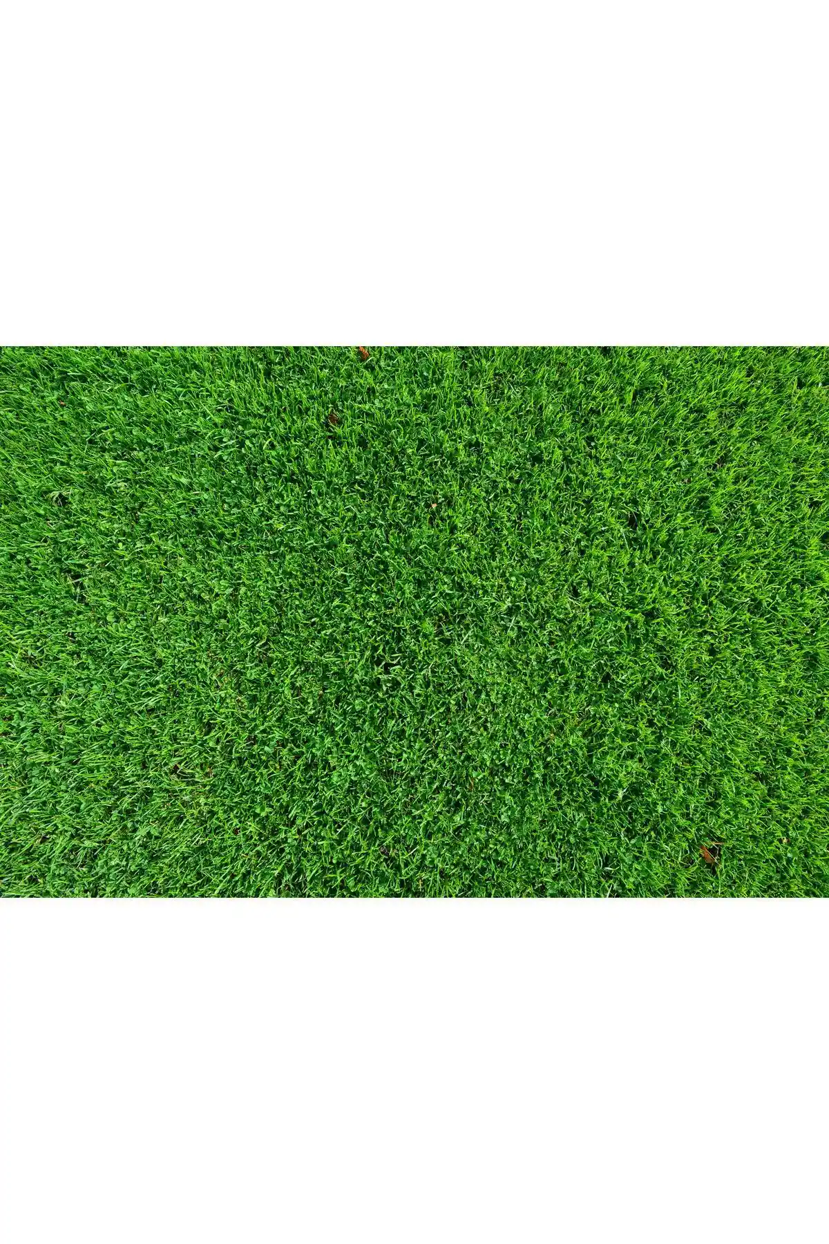 İGSAŞ 5 Kg %21 Amonyum Sülfat Gübre ile Toprak ve Bitki Sağlığını Güçlendirme