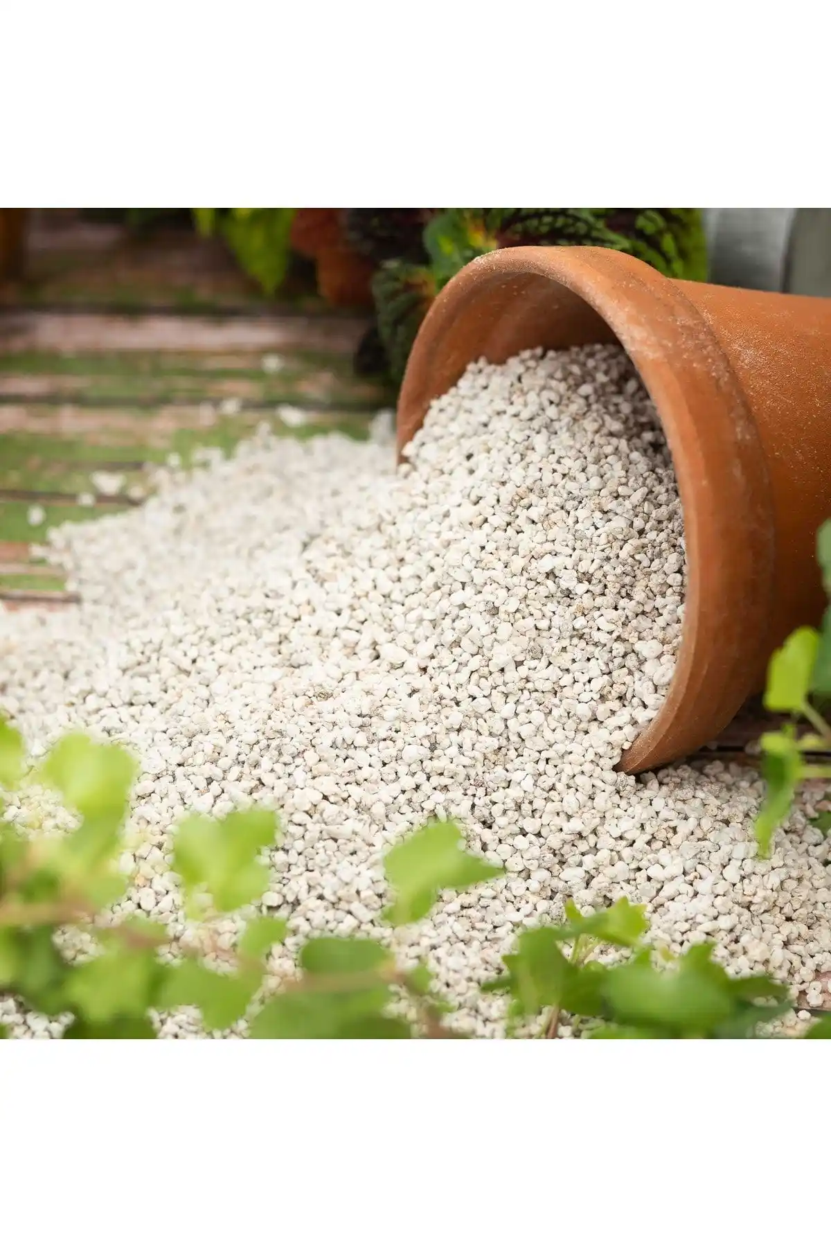 KanyonMarket Köklendirici Perlit: Tarımda Yenilikçi ve Güvenilir Bitki Yetiştiriciliği Çözümü