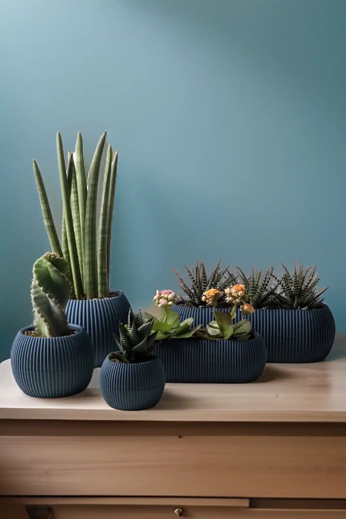 Karasu Dekoratif Modern Mercan Saksı Seti 5 Parça Ev ve Dış Mekan Kullanımı