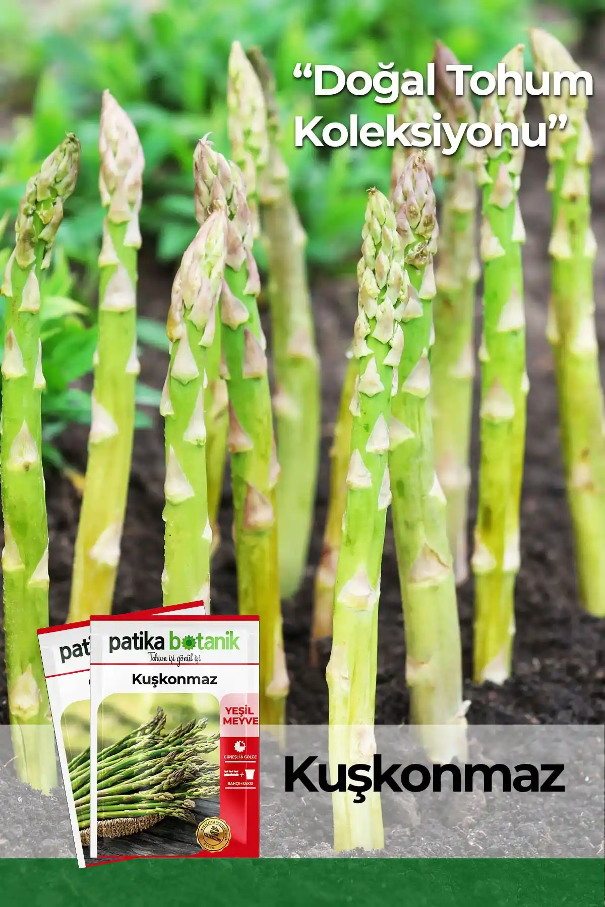 Kuşkonmaz Tohumu: Doğal ve Yüksek Verimli Bahçe Seçeneği