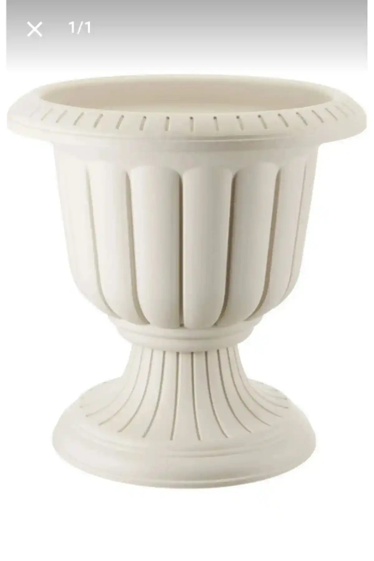 LOBELYA Tohumculuk Nergis Saksı: Estetik ve Dayanıklı Bahçe ve Dekorasyon Ürünü