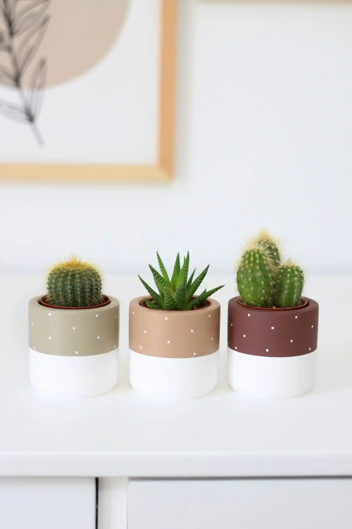 LOREMY Puantiyeli Beton Saksı Üçlü Seti ile Modern ve Şık Dekorasyon Çözümleri