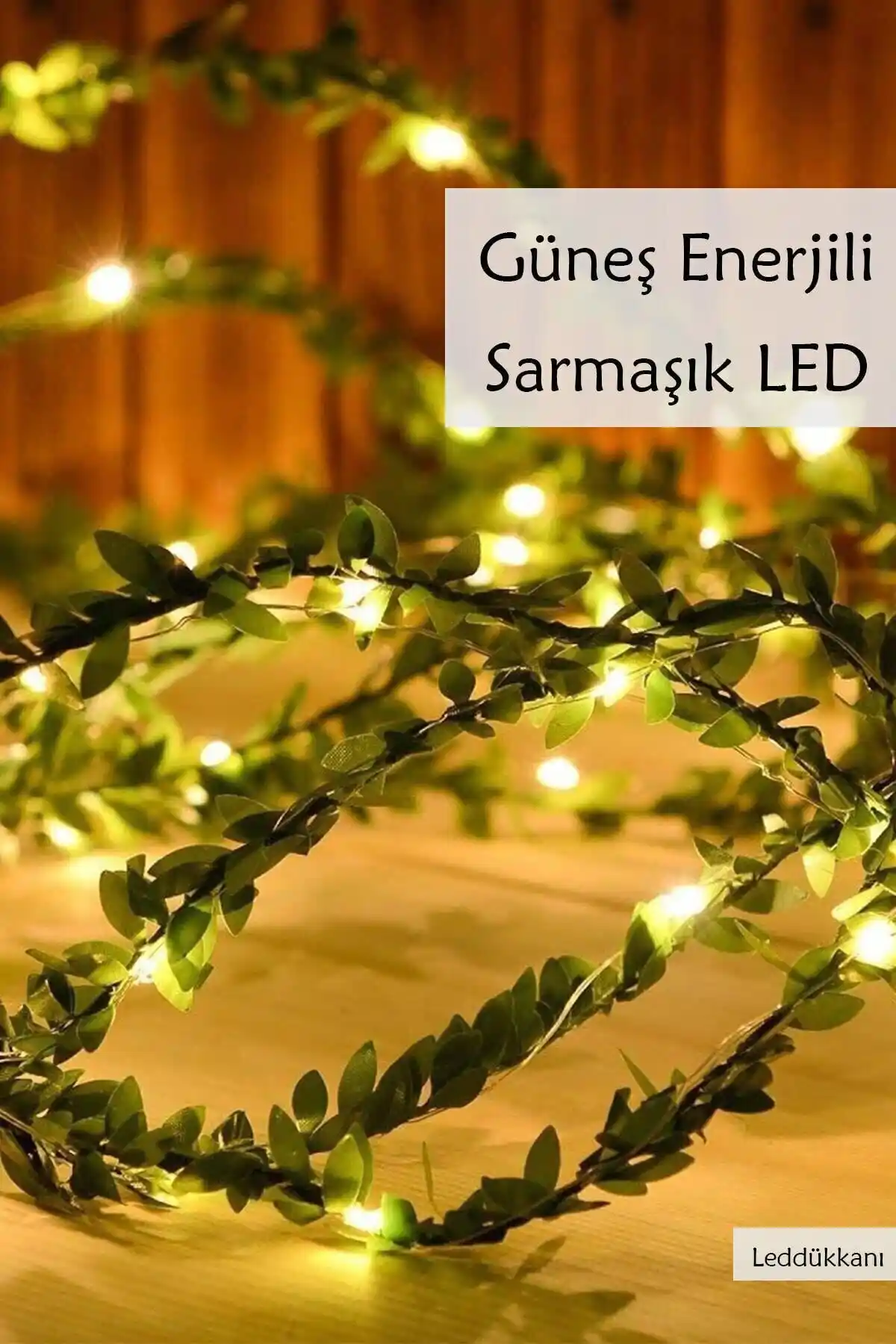 Lucente 50 LED Güneş Enerjili Sarmaşık Peri Işık Seti Bahçe ve Dış Mekan Dekorasyonu