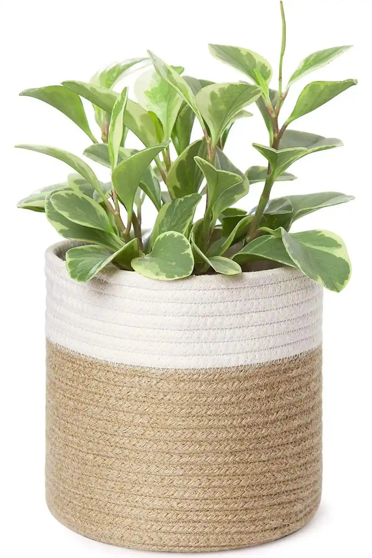 MaVaux Dekoratif Jüt Saplı Hasır Sepet ile Evinize Şıklık ve Fonksiyonellik Katın