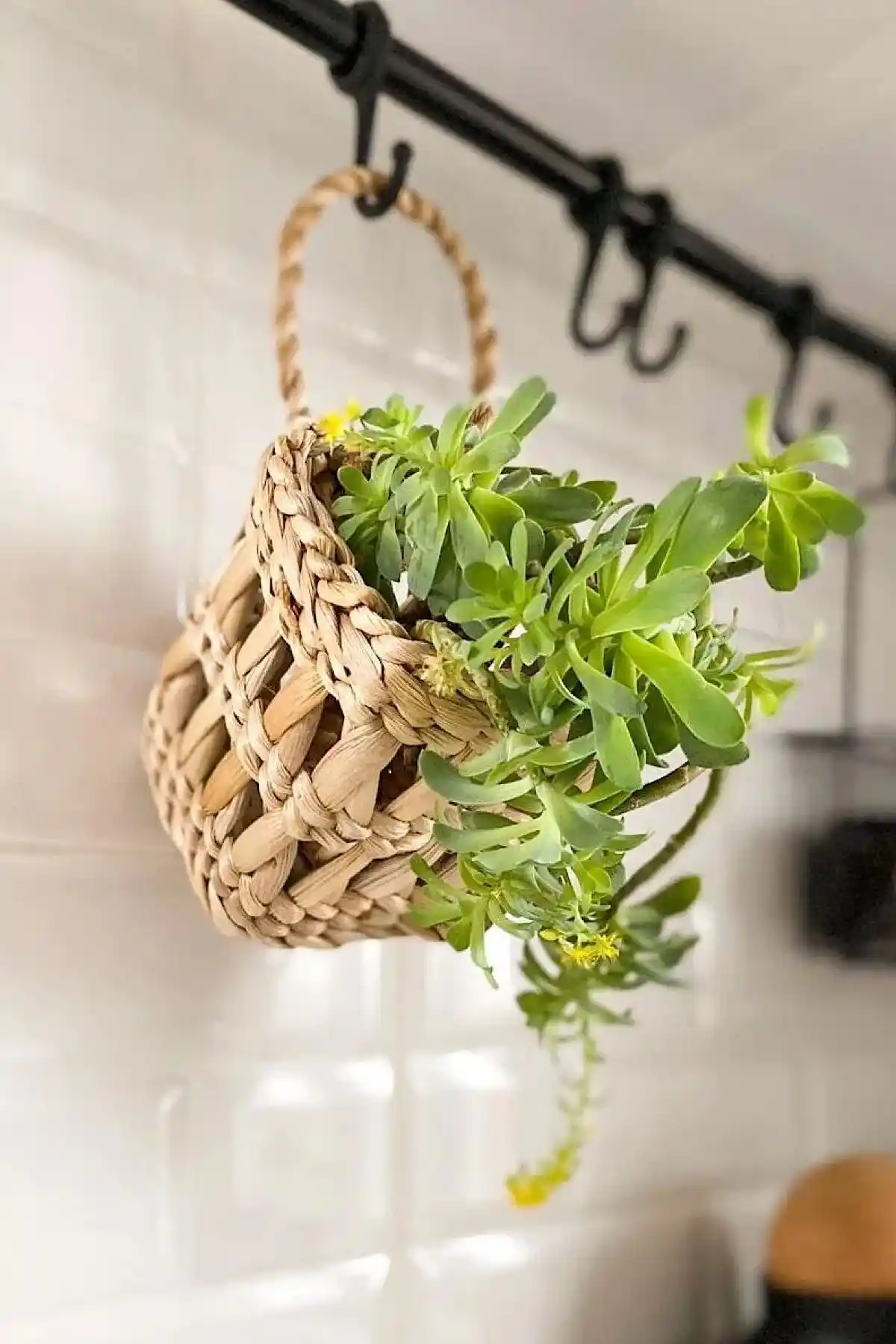 MİEN HOME Dekoratif Çok Amaçlı Doğal Hasır Saksı Sepeti 10x10cm Modern Tasarım