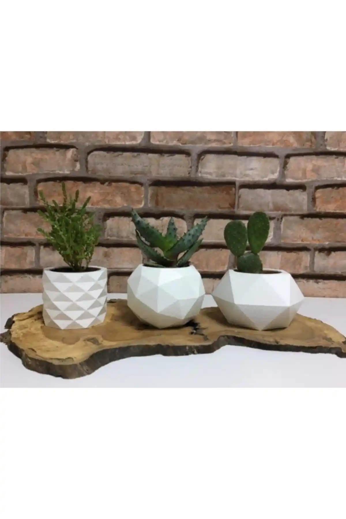 Modern Beton Sukulent ve Kaktüs Saksı Seti 3'lü Beyaz Renk Dekoratif ve Dayanıklı
