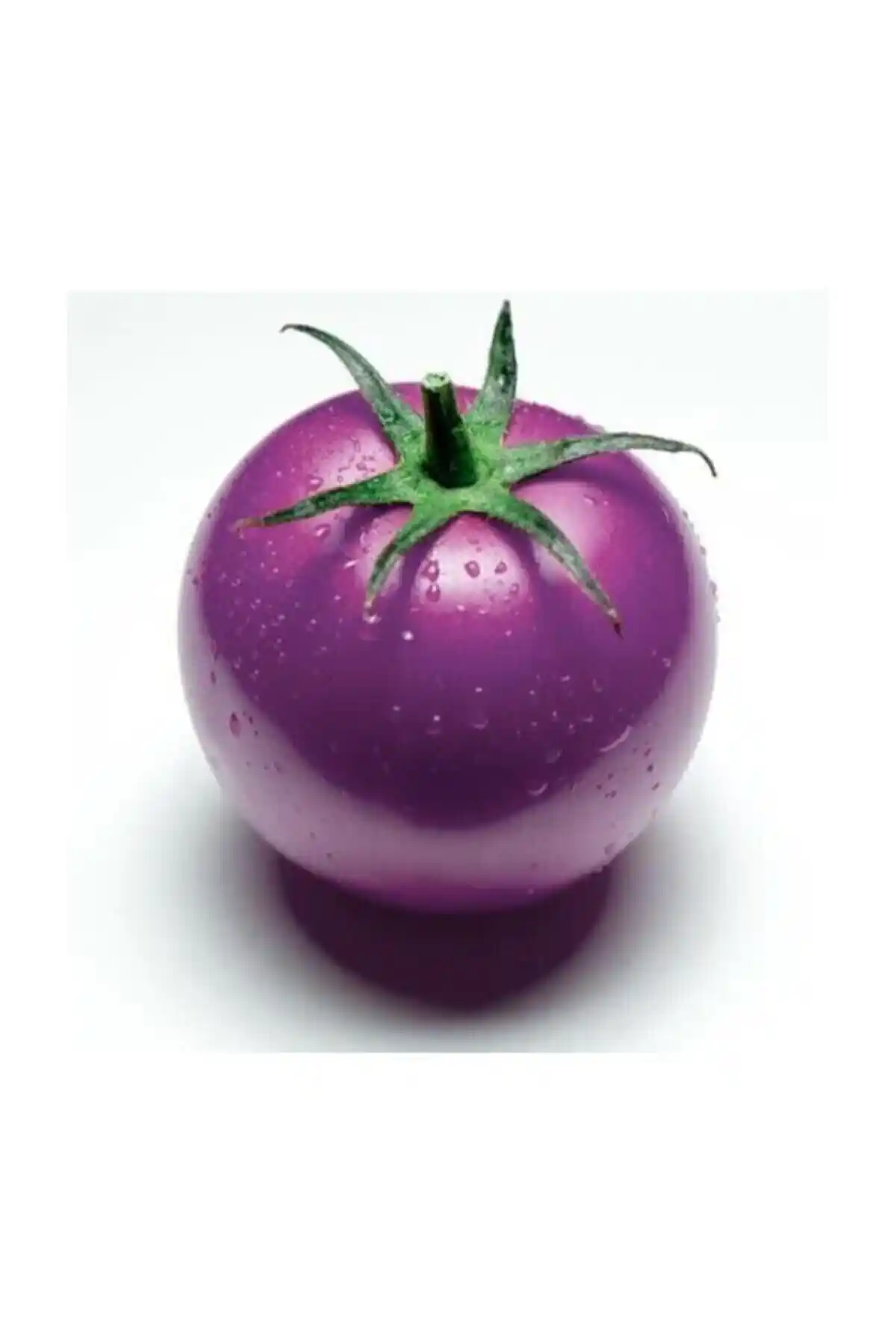 Nadir İthal Mor Domates Tohumu: Yüksek Çimlenme Oranı ve Sağlıklı Yetiştirme Rehberi