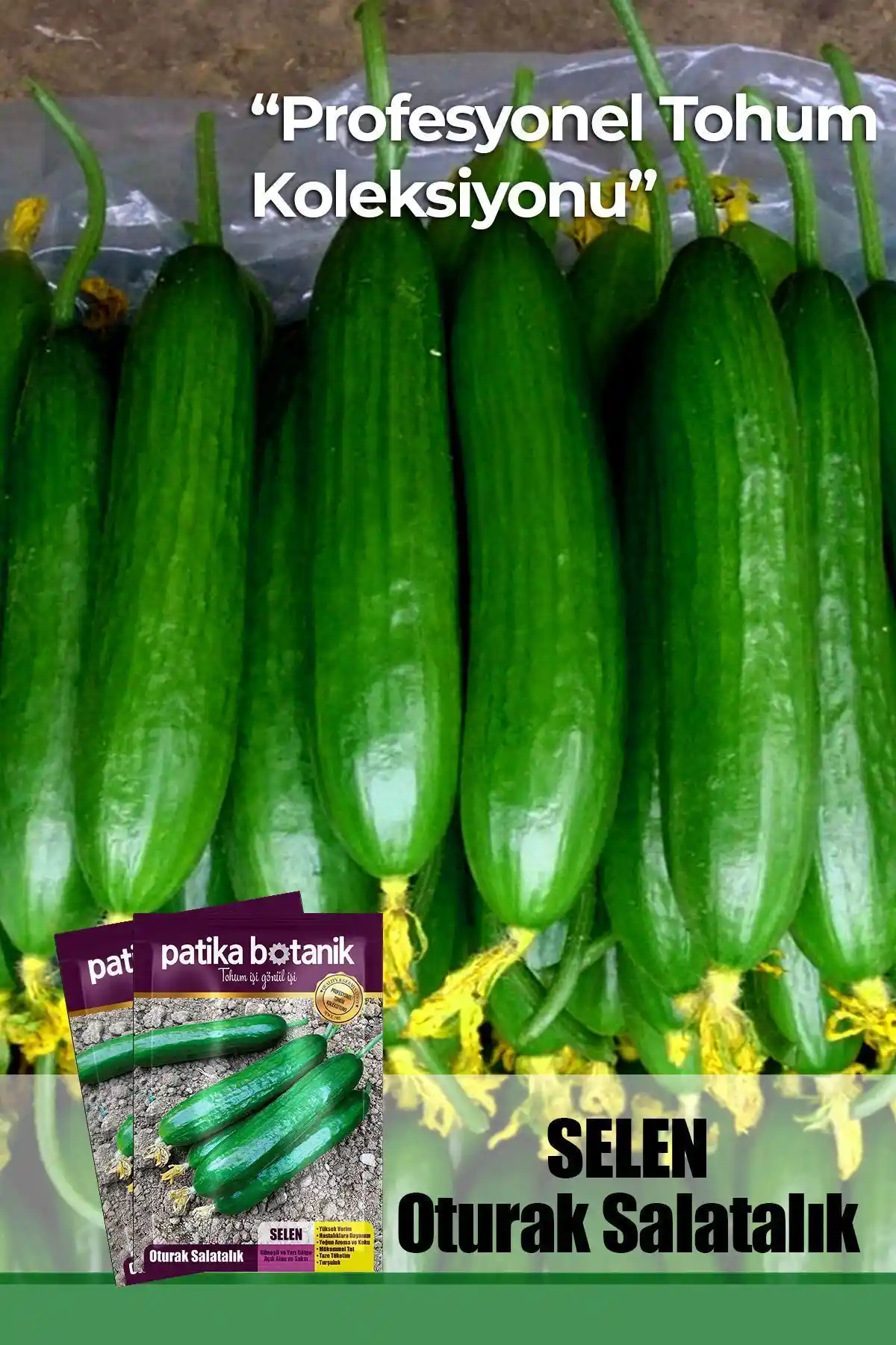 Patika Botanik 10 Adet Selen Salatalık Tohumu - Doğal ve Verimli Bahçe Seçeneği