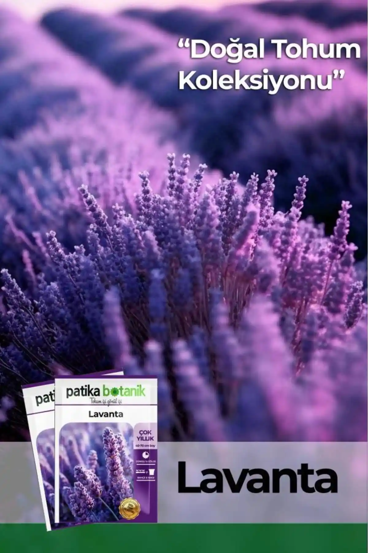 Patika Botanik 100 Adet Lavanta Tohumu: Doğal Güzellik ve Aromanın Kaynağı