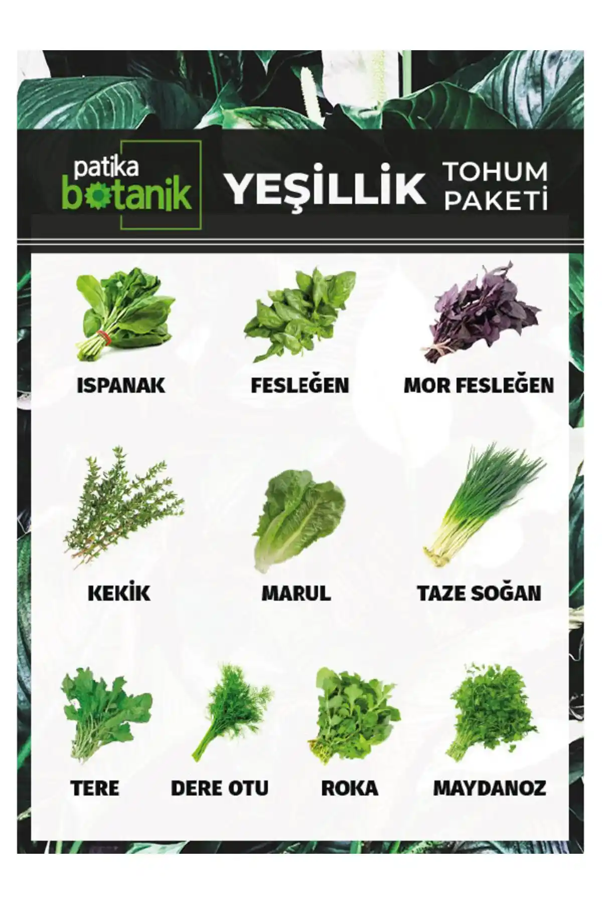 Patika Botanik 3.000 Tohum ve 10 Çeşit Yeşillik Paketi ile Bahçe Keyfi