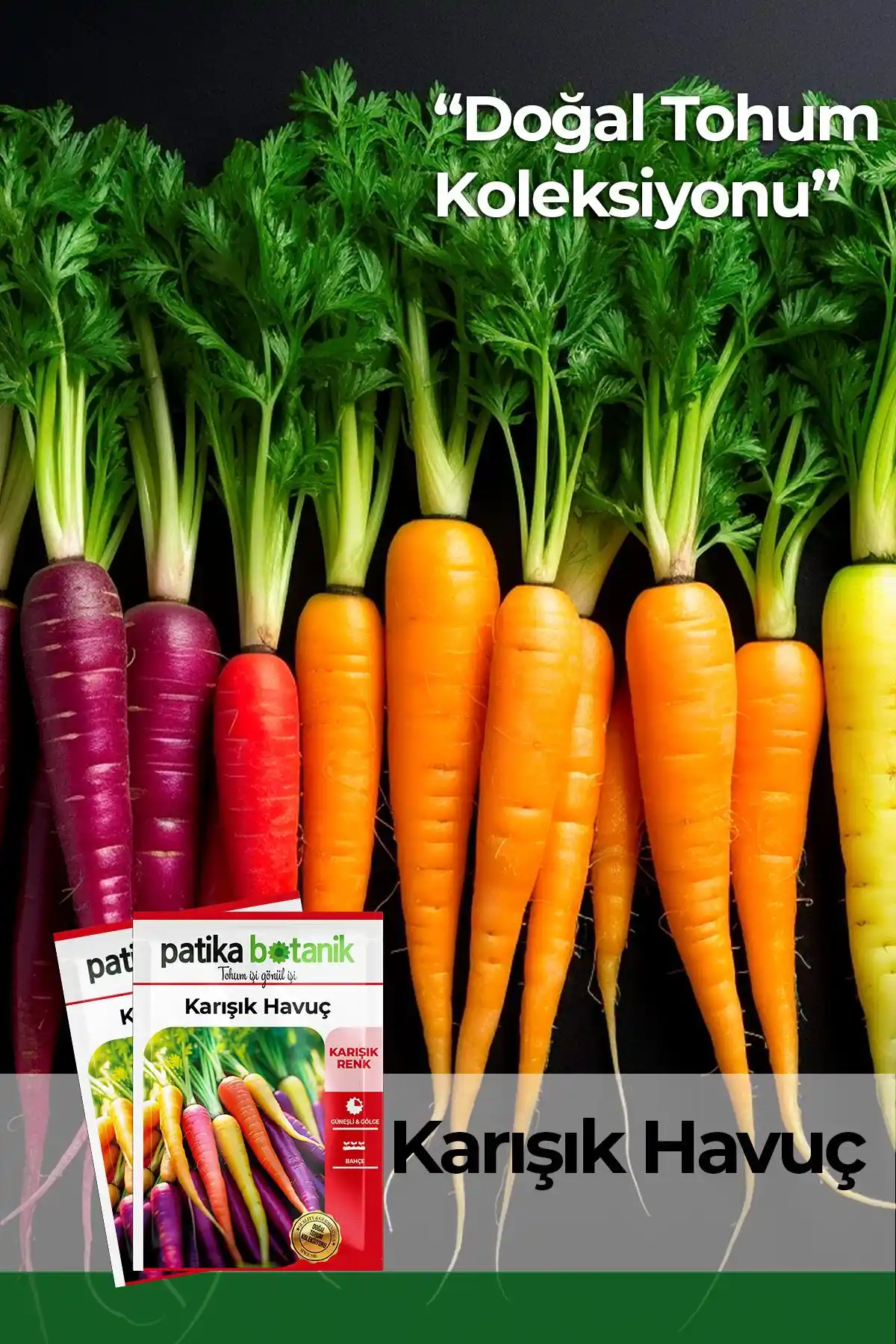 Patika Botanik 3000 Adet Renkli Havuç Tohumu - Yüksek Verim ve Çeşitlilik İçin Ideal